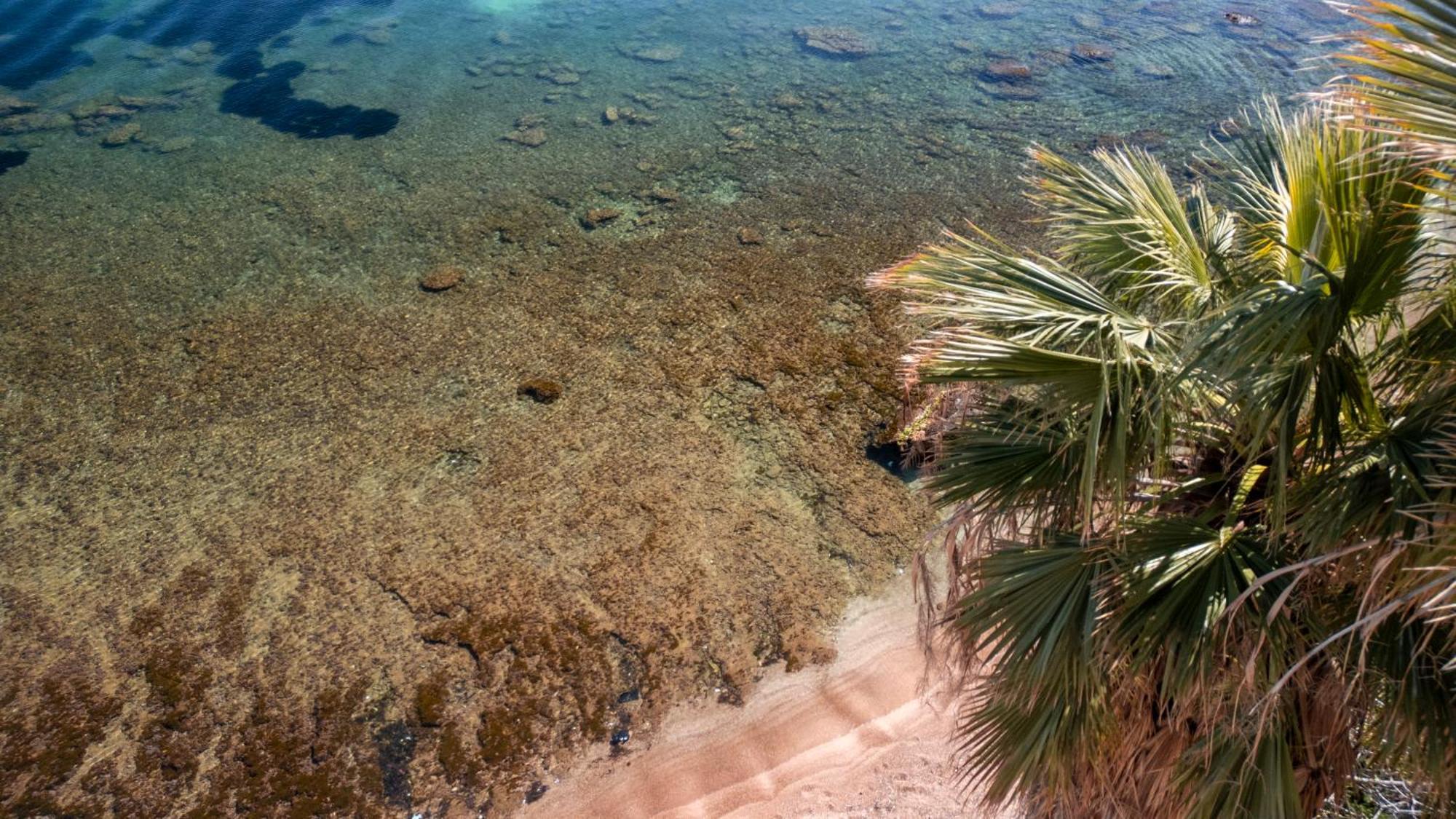 La Casetta Sul Mare Castellammare del Golfo Exteriör bild